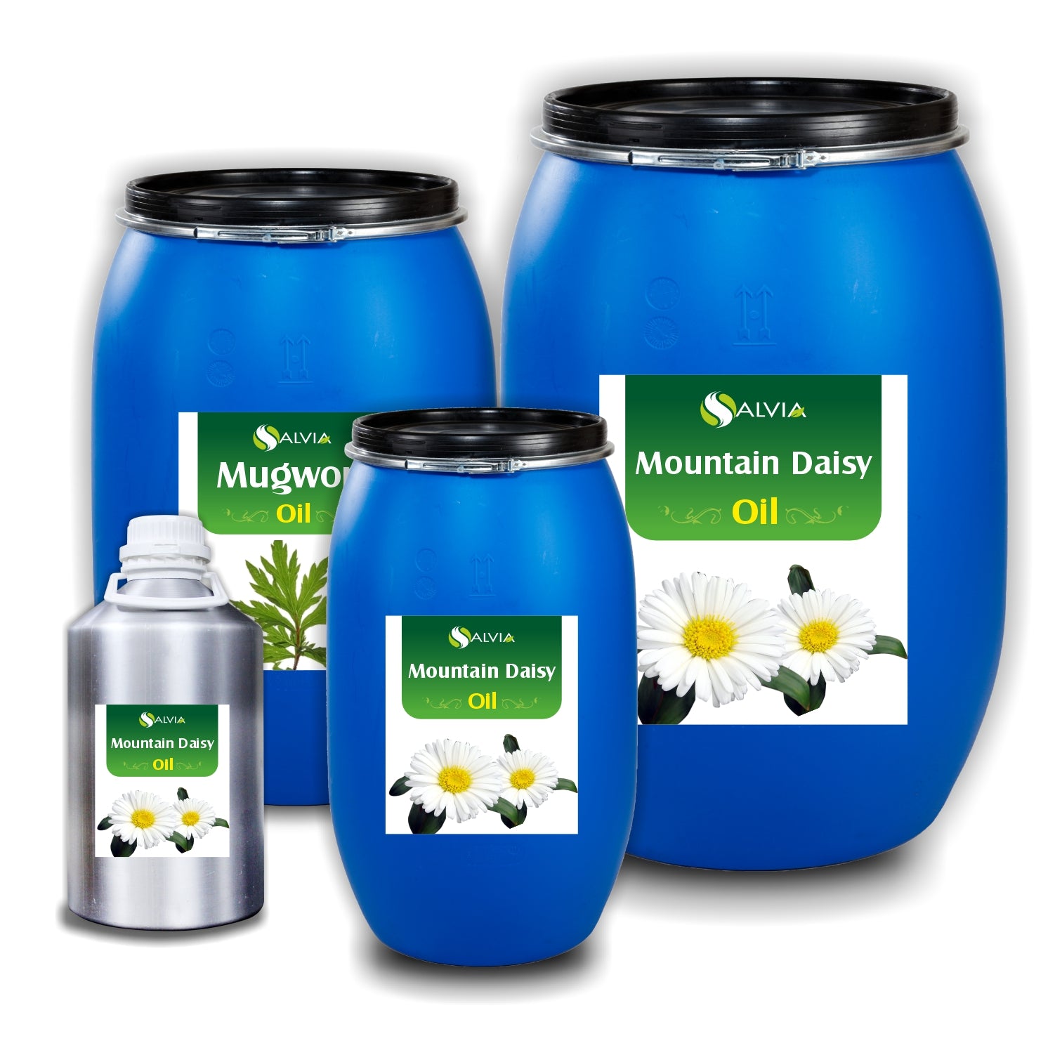 Mountain Daisy Oil Mountain Daisy Oil